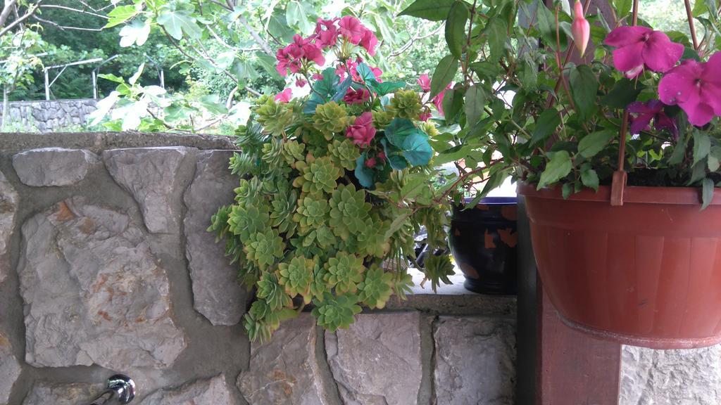 Guest House Djurdjica Dramalj Bagian luar foto